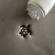 Turtle Pottery Stamp